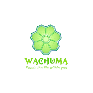 Wachuma